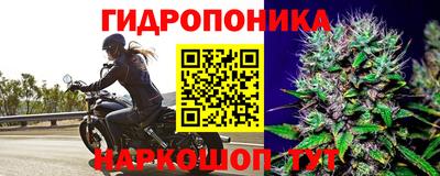 марки nbome Бердск